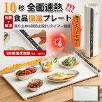 ショッピングパーティ 料理保温プレート 食品 電気トレイ 多機能フードウォーマー 折りたたみ収納 3段階温度設定 テーブル用 保温プレート レストラン パーティー イベント 家庭用