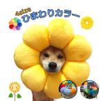 エリザベスカラー ソフト ペット用品 猫 犬 ポンデリング カラフル しゃれ かわいい 写真 保護 傷舐め防止 傷口保護 術後ケア ケガ防止