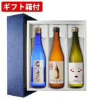 フルーティーな地酒セット山法師純米...