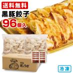 ショッピング餃子 博多ラーメン　げんこつ　黒豚餃子96個　(48個入り×２袋)　送料無料　冷凍