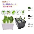  салон нет почва культивирование box [5 позиций комплект ] нет почва культивирование box огород [5 позиций комплект ] овощи культивирование комплект семена культивирование комплект культивирование комплект питание изобилие 6 дыра .