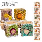 木製 小物入れ DIY キット 天然木 知育玩具 ドライフラワー 手作り セット ペンスタンド 筆立て ハンドメイド ペン立て 木製 子供 女の子 男