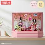 ショッピング桃 ◆特典付×29%OFF【数量限定】雛人形 ひな人形 衣裳着 ケース飾り 親王飾り 送料無料 桃の節句 ひな祭り お雛様/映え 【751S23】 小芥子2人 麗花 パールピンク