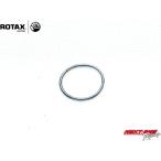  номер детали 9 ROTAX MAX выхлоп клапан(лампа) поршень шланг springs IN