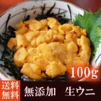 ウニ 訳あり 生食用 100g 無添加 業務