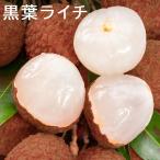 冷凍 ライチ 1kg 皮付き 黒葉種 トロ