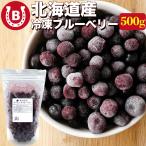 北海道産 冷凍 ブルーベリー 500g オーガニック 有機 JAS認証 砂糖不使用 保存料添加物不使用 小分け 国産ブルーベリー