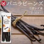  vanilla beans 40g примерно 8~10шт.@u gun da производство brubon вид гурман комплектация A 16~20cm