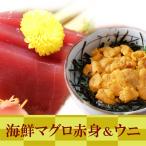 Yahoo! Yahoo!ショッピング(ヤフー ショッピング)海鮮赤身ウニセット 極上本マグロ 赤身 500g（250g×2） ウニ  訳あり 生食用 100g お歳暮  最高級 高級食材 送料無料  ギフト