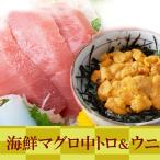 Yahoo! Yahoo!ショッピング(ヤフー ショッピング)海鮮中トロウニセット 極上本マグロ 中トロ 塊 ウニ  訳あり 生食用 100g お歳暮  最高級 高級食材 送料無料  ギフト