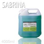 ¥µ¥Ö¥ê¥Ê ¥Õ¥¡¡¼¥¹¥È¥·¥ã¥ó¥×¡¼ 4000ml Ãæ±û͵¡²Ê³Ø ¥×¥íÍÑÈþÍÆ¼¼ÀìÌçŹ ¶È̳ÍÑ¥·¥ã¥ó¥×¡¼ ¥¹¥Ñ»ÜÀß ¥´¥ë¥Õ¾ì ÂçÍá¾ì
