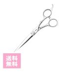 GISHIsi The -CB-65 cut si The -6.5 дюймовый Blanc to cut стандартный человеческий труд бриллиант sharp sharp . исчезать тест долговечность высокая эффективность красота . парикмахер .