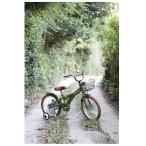 自転車　16インチ　BMXタイプ　子供用自転車キッズ幼児車　ローリ　子供 ROLLING RINGS ローリングリングス