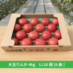 大玉トマト りんか [4kg] A品　サラダ　トマトソース　スープ　贈答　お中元　お歳暮