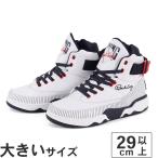 大きいサイズ メンズ スニーカー 29c