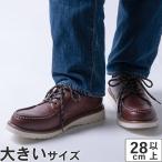 大きいサイズ 28cm 29cm 30cm CAPTAIN STAG キャプテンスタッグ メンズ カジュアルシューズ