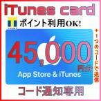 [数量限定！]iTunes Card　アイチューンズカード　45,000円分 [コード通知専用]　 Apple　プリペイドカード　