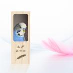 [ название inserting бесплатный ] птица. перо кейс фотография перо брызги птица .. длиннохвостый попугай youma Hill bnchou 9 . птица попугай сова kana задний memorial домашнее животное имя ввод хранение 