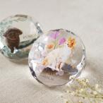 ショッピングメモリアル 【校正無料】メモリアル ペット位牌 サークル 写真 プリント 仏具  カラー 写真入り クリスタル 仏具 犬 猫 家族 名入れ 名前入り 供養 手元供養 記念品 ペット