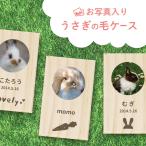 【名入れ無料】うさぎの毛ケース 写真 毛 抜け毛 ウサギ うさぎ 兎 メモリアル ペット お名前入り オリジナル 名入れ 保管 お守り うさぎの毛入れ 名前 かわいい