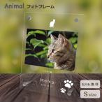 ペットグッズ 写真立て フォトスタンド ペット用品 ギフト 記念日 かわいい メモリアル 仏具 供養 ねこ ネコ レーザー