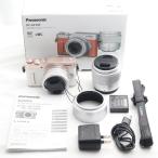 PANASONIC LUMIX DC-GF10