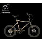 tern( Turn ) AMP F1 " усилитель F1" 2024 модель ограничение цвет BLACK CHAMPAGNE