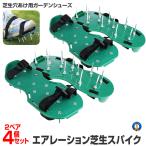 4 шт. комплект сад шиповки газонная трава сырой газонная трава шиповки 1 комплект (2 шт. комплект ) сверление аэрация шиповки земля . улучшение . починка двор выращивание газонная трава сад шиповки 2-GRASHO