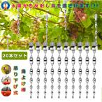 20 шт. комплект птица .. палка голубь ..kalas.. из ...kalas меры птица . меры удаление защита от птиц товары веранда отражающий солнце свет подвешивание ниже тип двор сад ....TORIYOKE