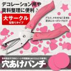 穴あけパンチ 大サークル ペーパーパンチ ルーズリーフパンチ 手持ち 文具 事務用品 子供 ノート 問題集 ぬりえ 整理 ANAPAIN-DS