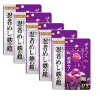 UHA味覚糖 忍者めし 鉄の鎧 グレープ味 40g 10個 ： 通販・価格比較