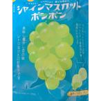 [1 шт ] автомобиль in мускат бонбон 