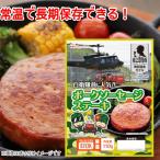 日本ハム 陸上自衛隊戦闘糧食モデル ポークソーセージステーキ 5年保存 110g  戦闘食 戦闘食料 戦闘糧食 ミリメシ ミリ飯 保存食 非常食  野戦食 戦用糧食