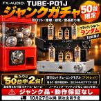 ���yJUNK���K�`���E50�����zNFJ�W�����N�K�`��[FX-AUDIO- TUBE-P01J �����b�g�^��ǈꎮ�t�� �W�����N]50�䒆������2�����