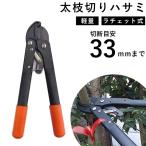 太枝切り ハサミ 太い枝 はさみ 枝切 バサミ 剪定 鋏 刈り込み ラチェット式 小型 軽量 植木 園芸 用品 農具 ガーデニング 木 庭 パワーラチェット太枝切ハサミ