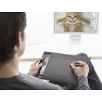 Wacom ワイヤレスペンタブレット Bluetooth接続で快適な作業性 Intuos4 Wireless PTK-540WL/K0