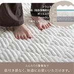 ラグ ホットカーペット対応 洗える 2畳 3畳 ラグマット 絨毯 厚手 北欧風 おしゃれ シャギーラグ 秋冬 滑り止め カーペット フランネルラグ カバー 暖かい
