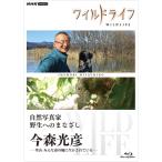  вход .P10 раз! wild жизнь природа фотография дом . сырой к .... сейчас лес свет . Blue-ray 