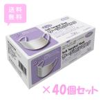 フジソフトサージカルマスク レギュラー ホワイト 50枚×40個（ケース販売） マスク 業務用 フジナップ 尚美堂