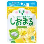 しおまる ひんやりレモンソーダ味 30g サラヤ
