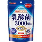 乳酸菌粒 90錠 山本漢方製薬
