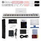 電子ピアノ (3色 黒 白  ピンク) 88鍵盤 初心者 入門用 充電可能 軽量 コードレス MIDI対応 キーボード ピアノ 1年保証