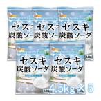 ショッピング沖縄 セスキ炭酸ソーダ 4.5ｋｇ×5袋 【送料無料！(北海道・九州・沖縄を除く)・同梱不可】 アルカリ洗浄剤 NICHIGA(ニチガ) TKJ