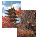 アートクリアファイル 仏教美術『五重塔極彩色』念仏宗無量寿寺(念佛宗)総本山 佛教之王堂 A4 メール便対応