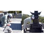  опция [3 flat рис D*E район .]. камень промывание в воде ( включение в покупку не возможно )