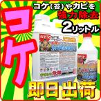 驚異 コケ取り剤 外壁 屋外 コケ 駆除 強力コケ取り剤  苔 除去剤 苔 コケカビ取り剤 コケ掃除 コケ取りスプレー コケ取り 方法なら 業務用を改良 おそうじ天下G