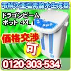 強酸性水生成器 電解次亜塩素酸水生成器 ドラゴンビームポット 4XL1 食塩で簡単生成可能 有効塩素濃度80ppm以上生成可能