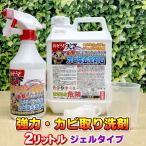 強力カビ取りジェル洗剤G同時購入で2倍増量 水アカ カビとりジェルタイプ 大掃除・お風呂場掃除・カビ除去剤ならおそうじ天下G