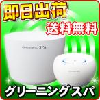 グリーニングスパ（GREENING SPA） HDW0004 水素風呂 水素水風呂 LINEギフト併売