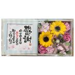  подсолнух po M box розовый благодарность 803222